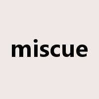 miscue是什么意思