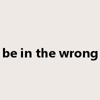 be in the wrong是什么意思