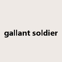 gallant soldier是什么意思