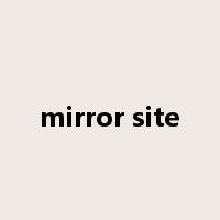 mirror site是什么意思