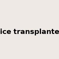 rice transplanter是什么意思