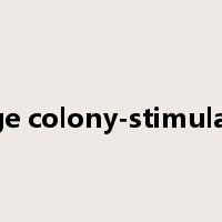 macrophage colony-stimulating factor是什么意思