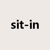 sit-in是什么意思
