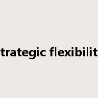 strategic flexibility是什么意思