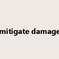 mitigate damage是什么意思