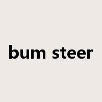 bum steer是什么意思