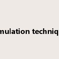simulation technique是什么意思