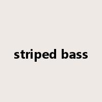 striped bass是什么意思