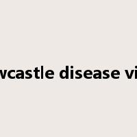 newcastle disease virus是什么意思