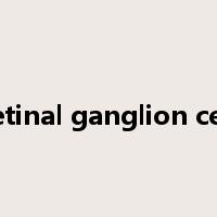 retinal ganglion cell是什么意思