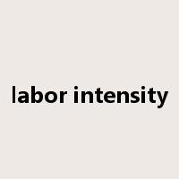 labor intensity是什么意思