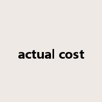 actual cost是什么意思