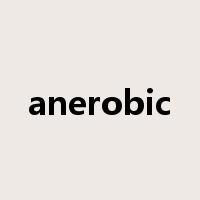 anerobic是什么意思