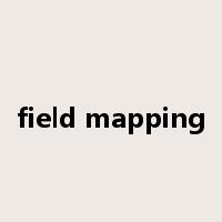 field mapping是什么意思