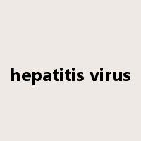hepatitis virus是什么意思