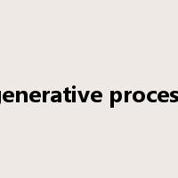 generative process是什么意思
