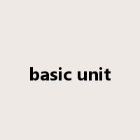 basic unit是什么意思