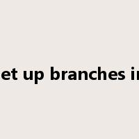 set up branches in是什么意思