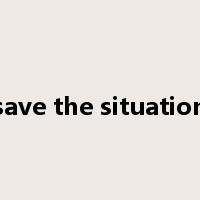 save the situation是什么意思