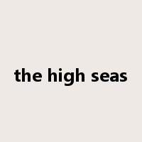 the high seas是什么意思