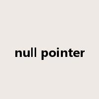null pointer是什么意思