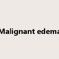 Malignant edema是什么意思
