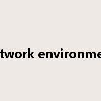 network environment是什么意思