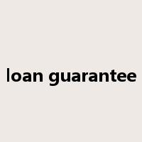 loan guarantee是什么意思