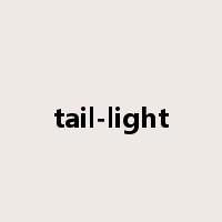 tail-light是什么意思