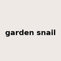 garden snail是什么意思
