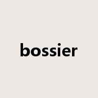 bossier是什么意思