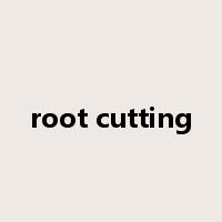 root cutting是什么意思
