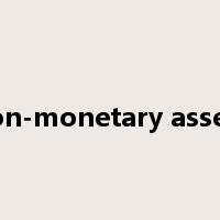 non-monetary assets是什么意思