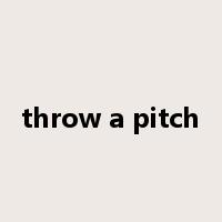throw a pitch是什么意思