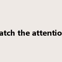 catch the attention是什么意思