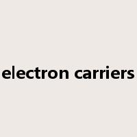 electron carriers是什么意思