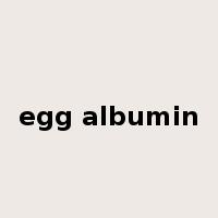 egg albumin是什么意思