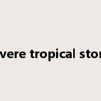Severe tropical storm是什么意思