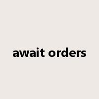 await orders是什么意思