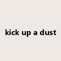 kick up a dust是什么意思