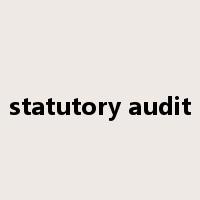 statutory audit是什么意思