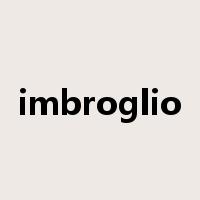 imbroglio是什么意思