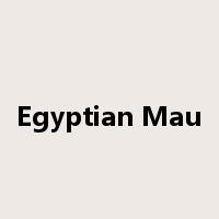 Egyptian Mau是什么意思