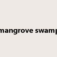 mangrove swamp是什么意思