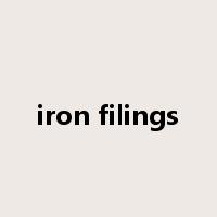 iron filings是什么意思
