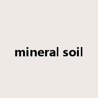 mineral soil是什么意思