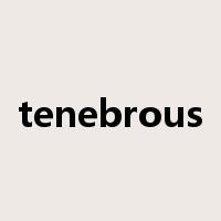 tenebrous是什么意思