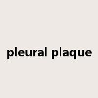 pleural plaque是什么意思