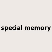 special memory是什么意思