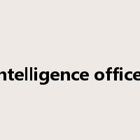 intelligence officer是什么意思